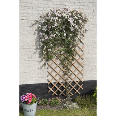 Nature tuinlatwerk 50x150 cm hout natuurlijk