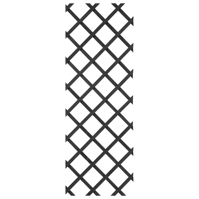 Load image into Gallery viewer, Nature tuinlatwerk 50x150 cm hout antracietkleurig
