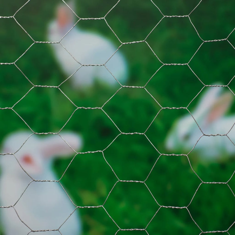 Load image into Gallery viewer, Nature gaas zeshoekig 0,5x2,5 m 25 mm gegalvaniseerd staal
