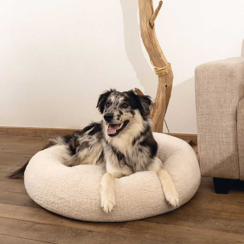 Load image into Gallery viewer, Beeztees Beeztees Hondenmand Jaxx traagschuim 50x20 cm beige
