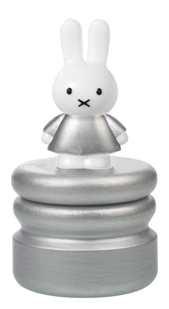 Load image into Gallery viewer, Bambolino toys nijntje melktandendoosje zilver
