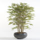 Emerald kunstplant japanse bamboe 150 cm