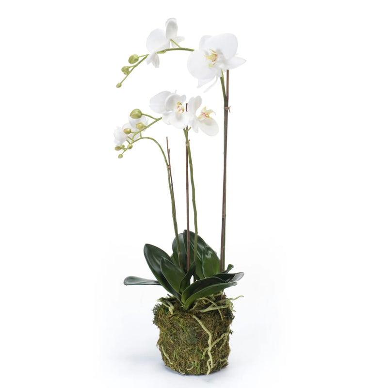 Load image into Gallery viewer, Emerald kunstplant vlinderorchidee 70 cm wit
