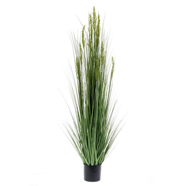 Emerald kunstplant graangras 150 cm