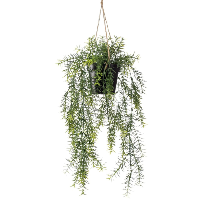 Load image into Gallery viewer, Emerald kunstplant hangend in pot asparagus 50 cm
