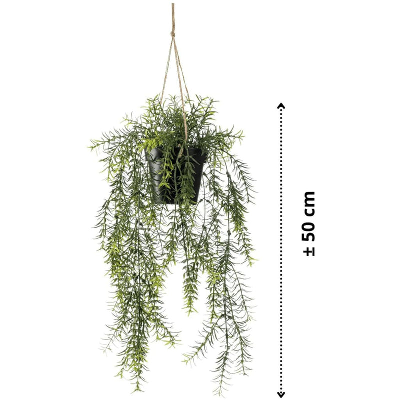 Load image into Gallery viewer, Emerald kunstplant hangend in pot asparagus 50 cm

