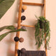Emerald kunstplant hangend in pot asparagus 50 cm