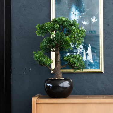 Emerald kunstplant mini bonsai ficus groen 47 cm 420006