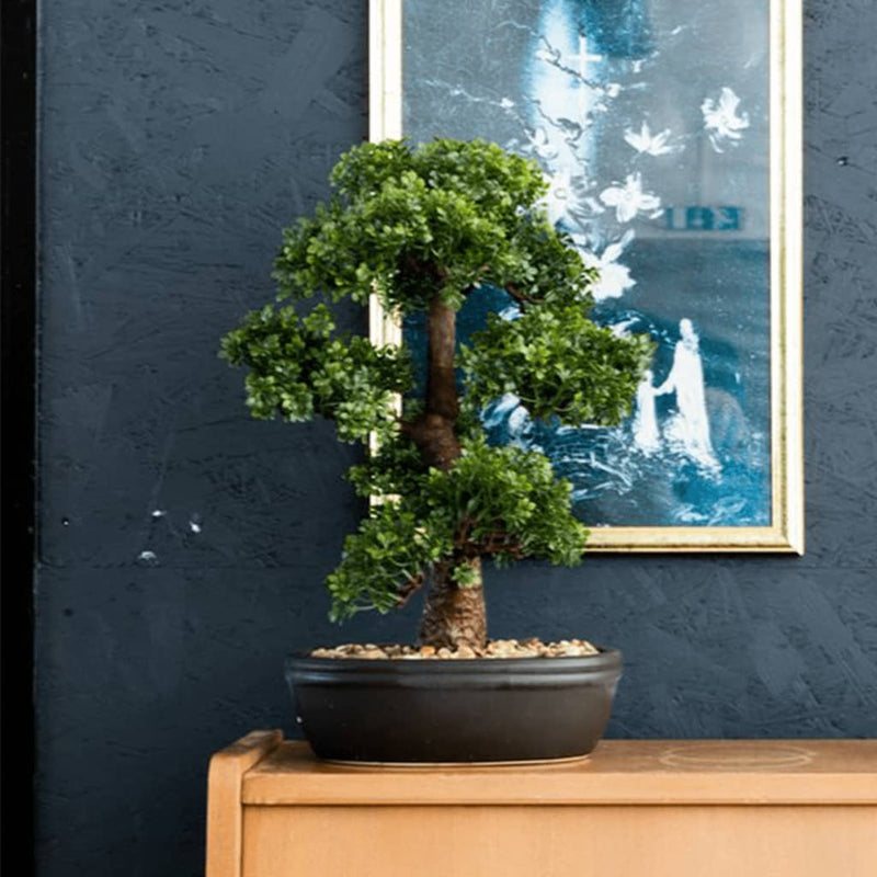 Load image into Gallery viewer, Emerald kunstplant in bruine pot ficus minibonsai 43 cm
