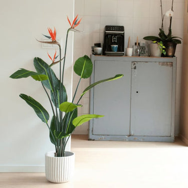 Emerald kunstplant met pot en bloemen strelitzia 120 cm