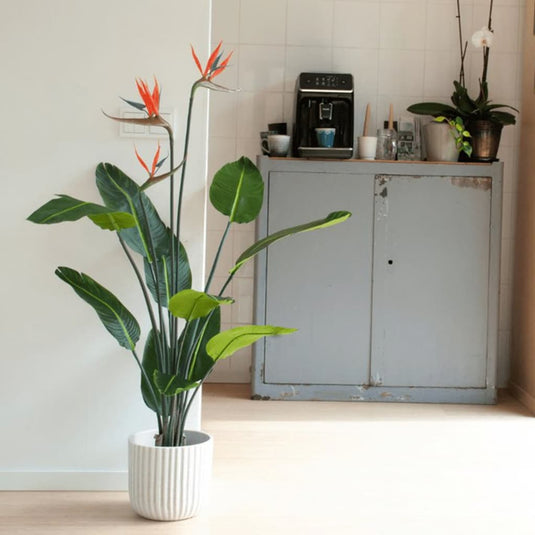 Emerald kunstplant met pot en bloemen strelitzia 120 cm