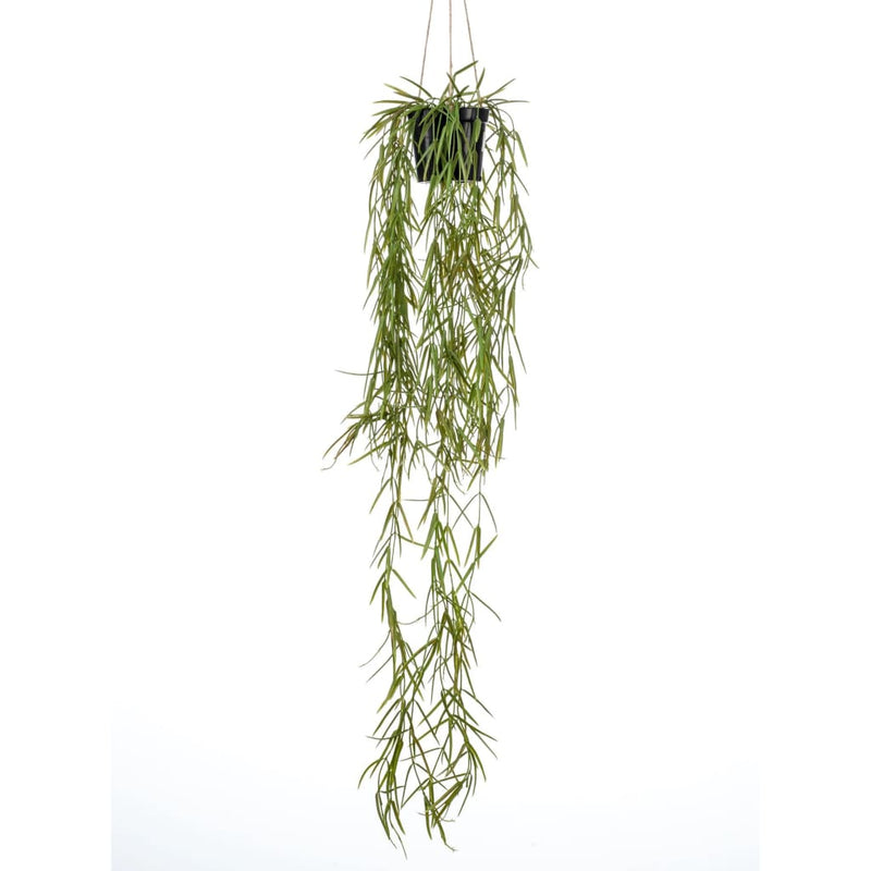 Load image into Gallery viewer, Emerald kunstplant hangend in pot wasbloem 80 cm

