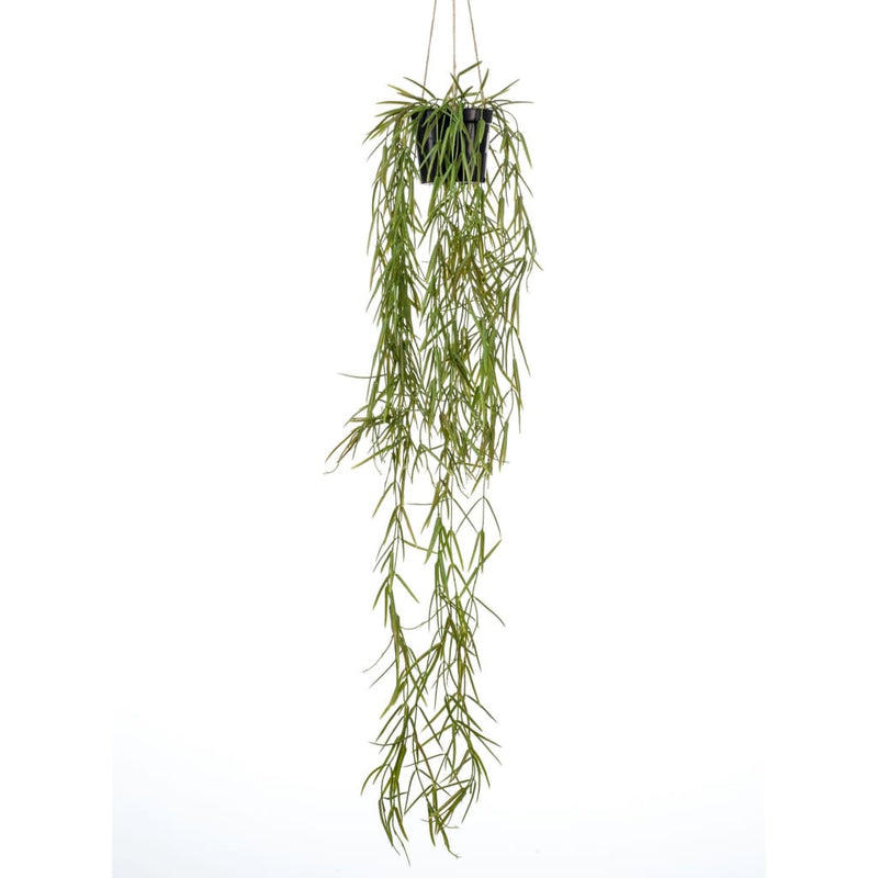 Load image into Gallery viewer, Emerald kunstplant hangend in pot wasbloem 80 cm

