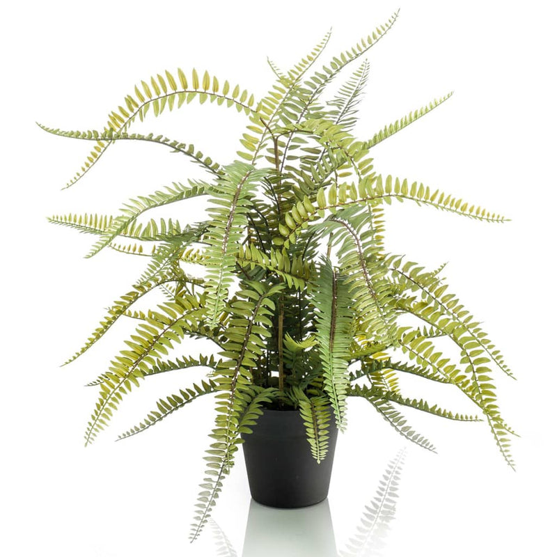 Load image into Gallery viewer, Emerald kunstplant in kunststof pot bostonvaren 70 cm
