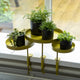 Esschert design plantenblad met klem rond s goudkleurig