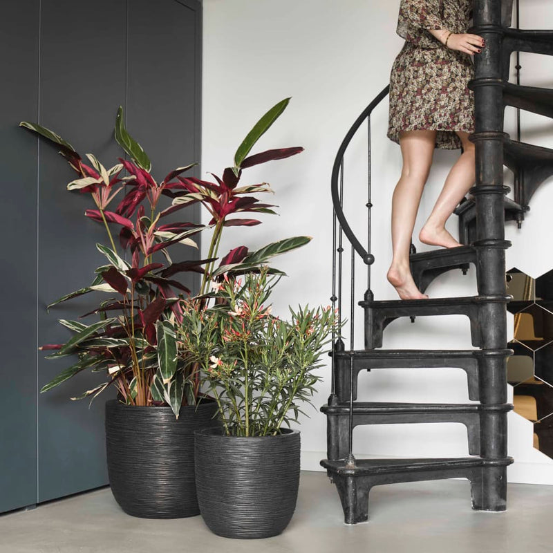 Load image into Gallery viewer, Capi bloempot nature rib 43x41 cm zwart kblr933
