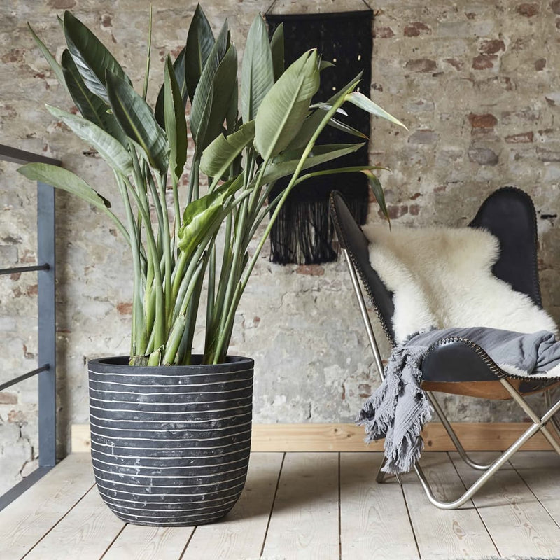 Load image into Gallery viewer, Capi bloempot nature row 54x52 cm antraciet krwz935
