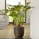 Capi Capi Plantenbak Nature Rib 43x41 cm donkerbruin