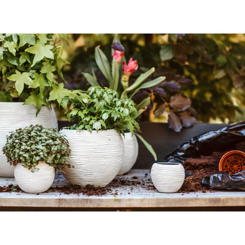 Load image into Gallery viewer, Capi capi 3-delige bloempottenset nature rib ivoorkleurig
