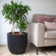 Capi plantenbak groove 35x34 cm zwart