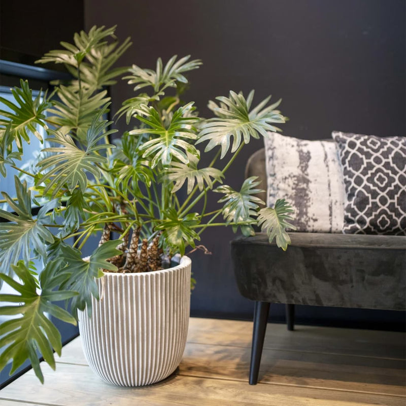 Load image into Gallery viewer, Capi bloempot groove 43x41 cm ivoorkleurig
