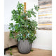 Capi plantenbak groove 43x41 cm antracietkleurig