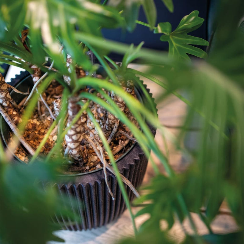 Load image into Gallery viewer, Capi bloempot groove elegant 34x46 cm zwart
