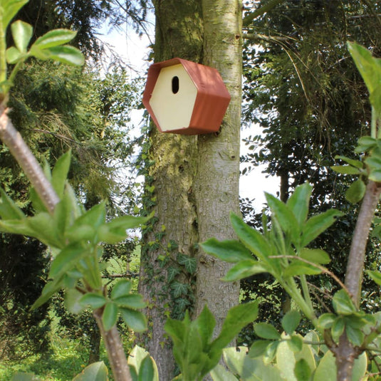 Capi vogelhuisje hive 2 ovaal gat 19x23x20 cm bruin