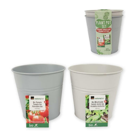 Overige merken kweekset emmer bio tomaten en sla