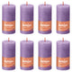 Bolsius Bolsius Stompkaarsen Shine 8 st rustiek 100x50 mm levendig violet