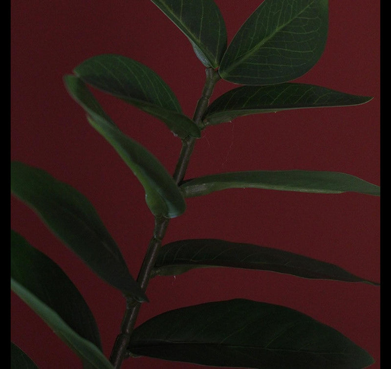 ギャラリービューアに画像をロードする, Countryfield kunstplant zamioculcas zamiifolia s groen 48x44x65cm
