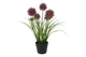 Countryfield kunst plant allium s paars 16x16xh60cm