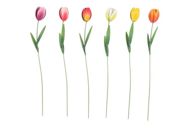 Countryfield tuinsteker tulipa veelkleurig 10x6xh60cm