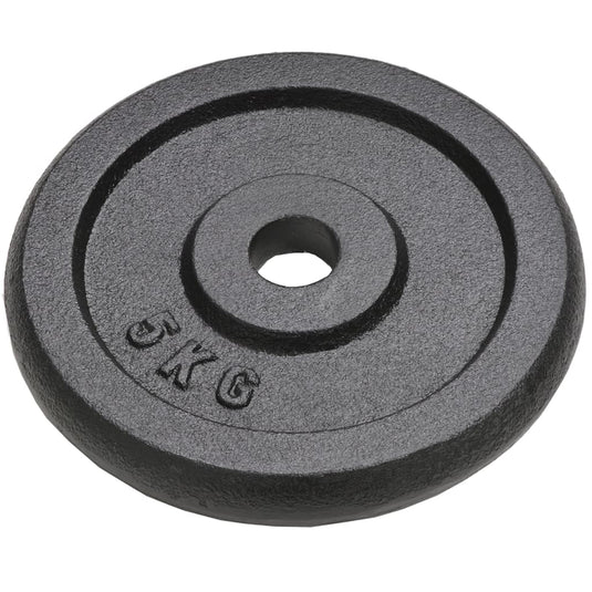 Vidaxl halterschijven 4 st 4x5 kg gietijzer