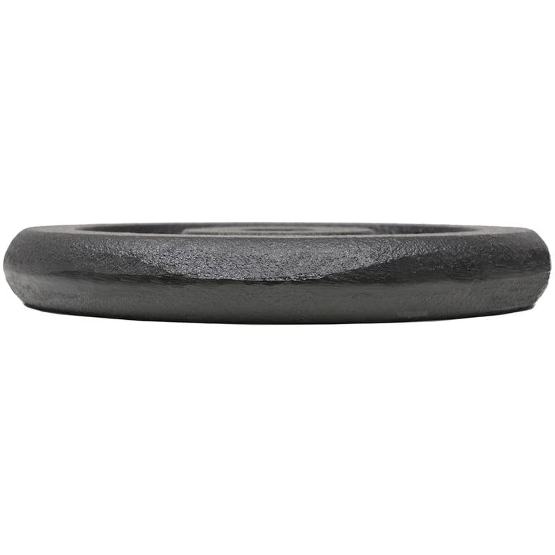 Load image into Gallery viewer, VidaXL Halterschijven 4 st 4x5 kg gietijzer
