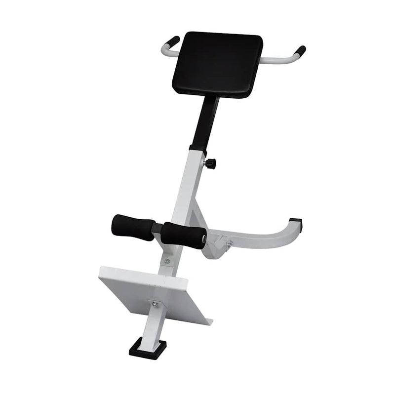 Load image into Gallery viewer, Vidaxl rugspiertrainingsbank
