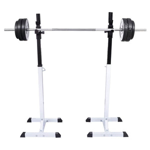 Vidaxl halter- en gewichtenstandaard