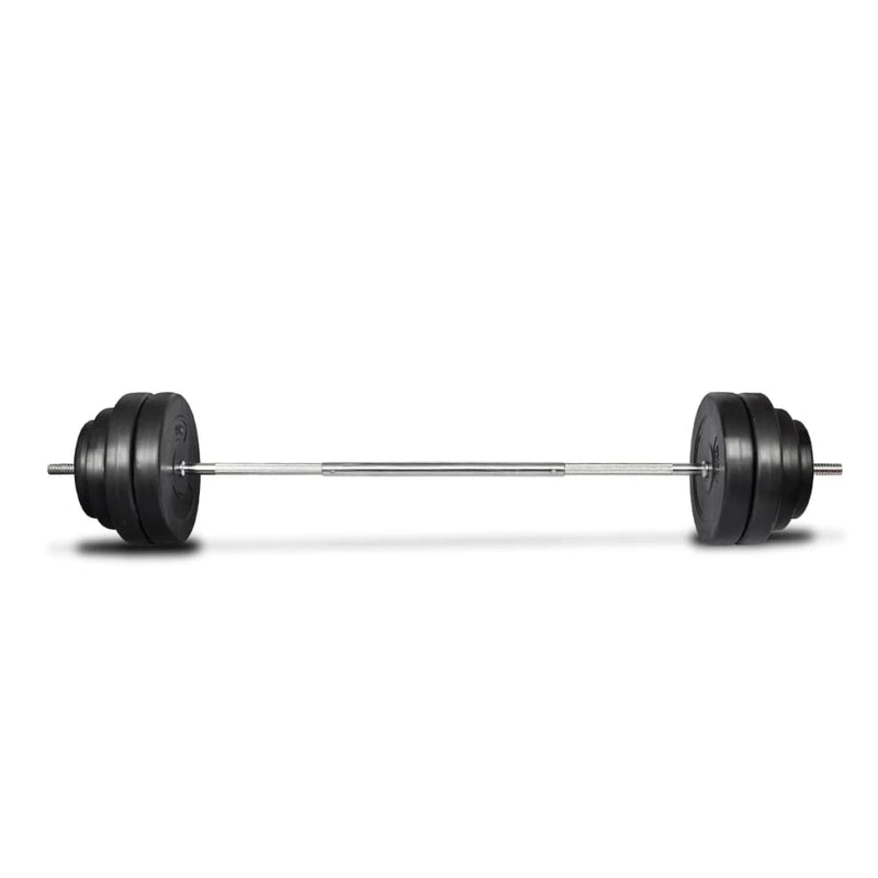 Load image into Gallery viewer, VidaXL Halter met gewichten 60 kg
