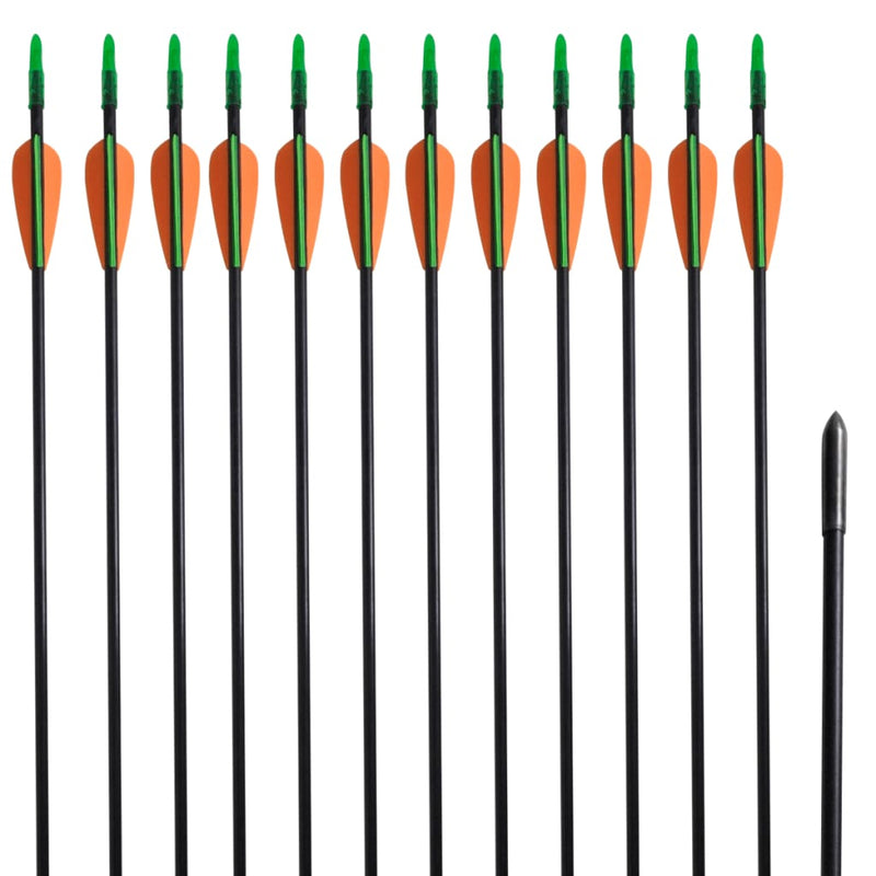 Load image into Gallery viewer, Vidaxl recurveboog standaard met pijlen 30 0,6 cm glasvezel 12 stuks
