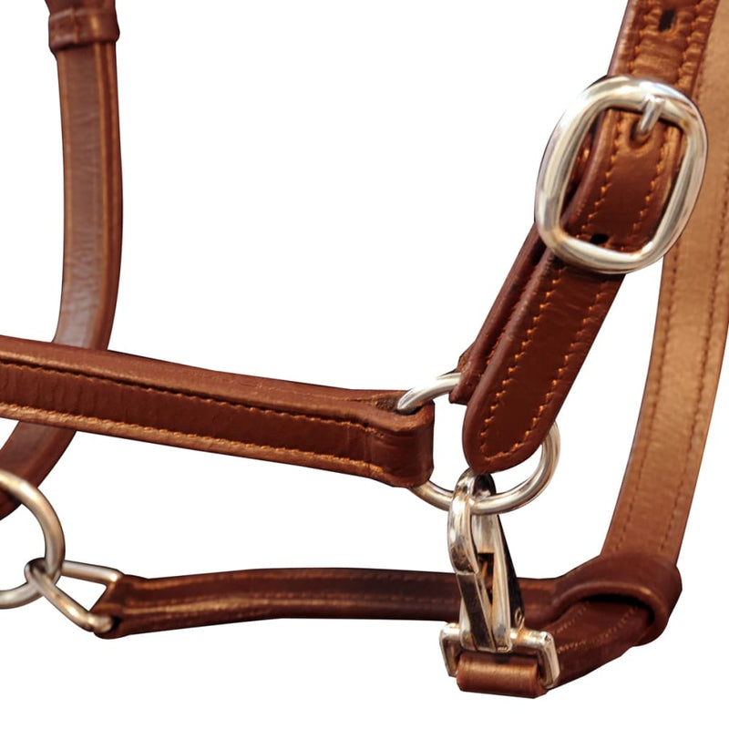 Load image into Gallery viewer, Vidaxl halster verstelbaar pony echt leer bruin
