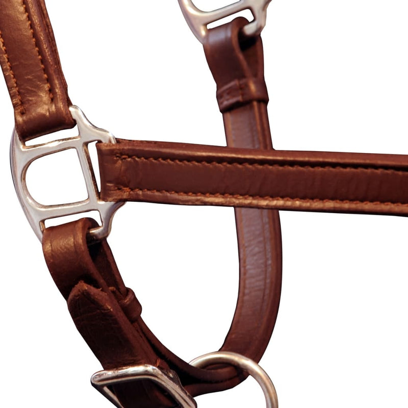 Load image into Gallery viewer, Vidaxl halster verstelbaar pony echt leer bruin
