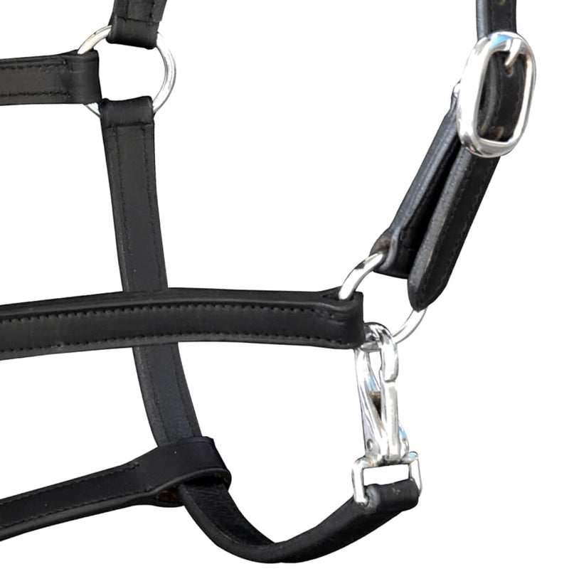 Load image into Gallery viewer, VidaXL Halster verstelbaar pony echt leer zwart
