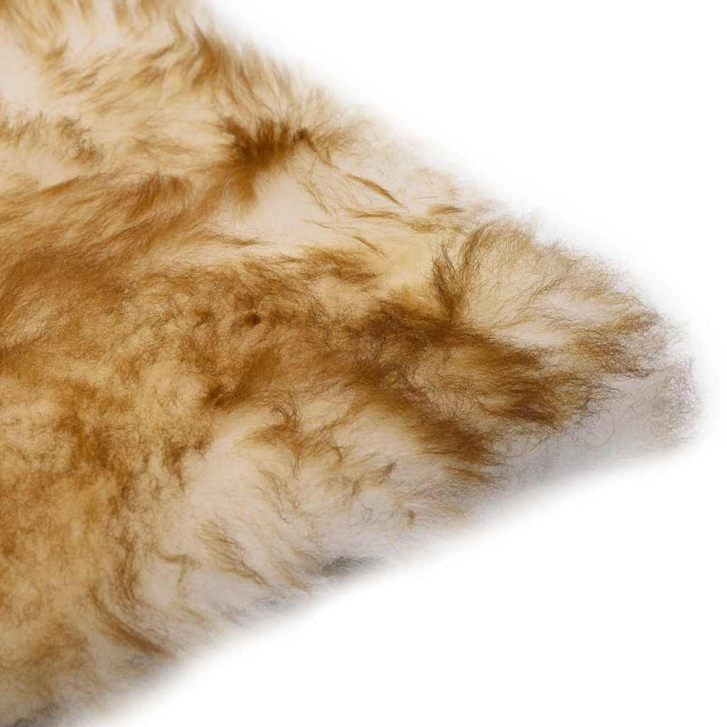 Load image into Gallery viewer, Vidaxl stoelkussens 2 st 40x40 cm echt schapenvacht gemêleerd bruin
