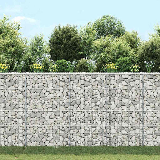 Vidaxl gabion plantenbak trapezium 100x20x100 cm gegalvaniseerd staal