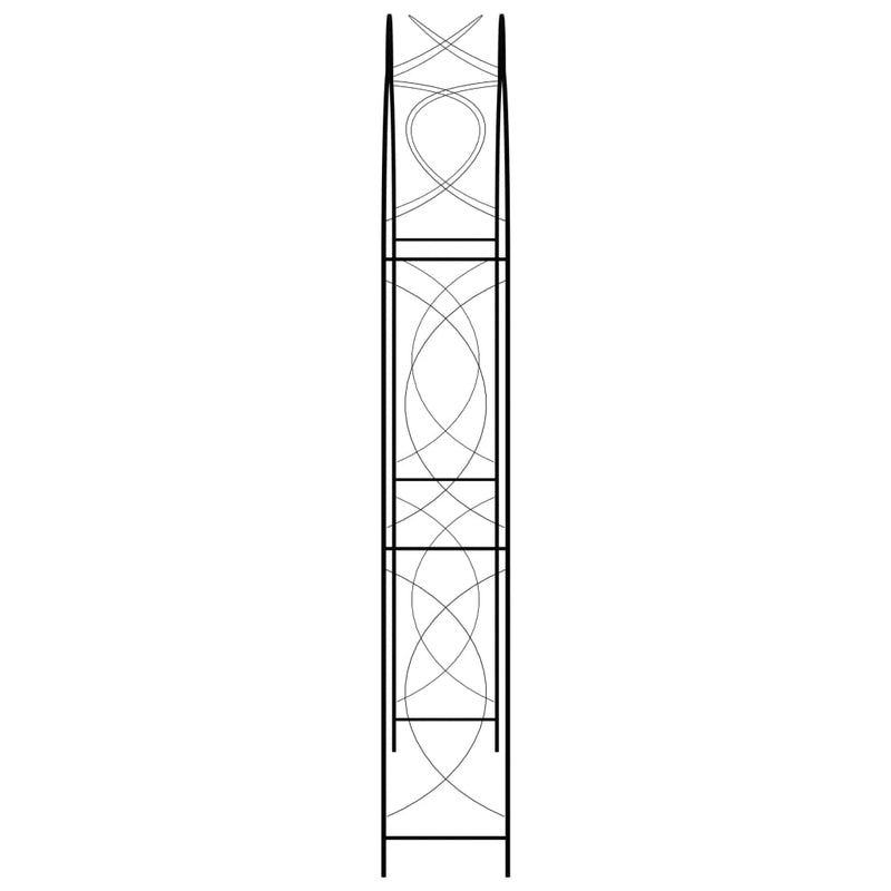 Load image into Gallery viewer, Vidaxl tuinboog 150x34x240 cm ijzer zwart
