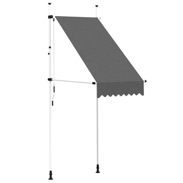 Vidaxl luifel handmatig uittrekbaar 100 cm antraciet