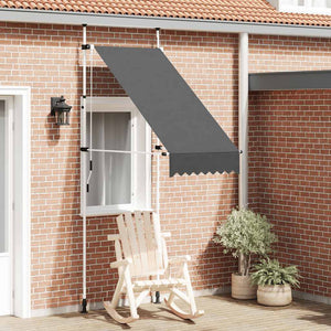 Vidaxl luifel handmatig uittrekbaar 100 cm antraciet