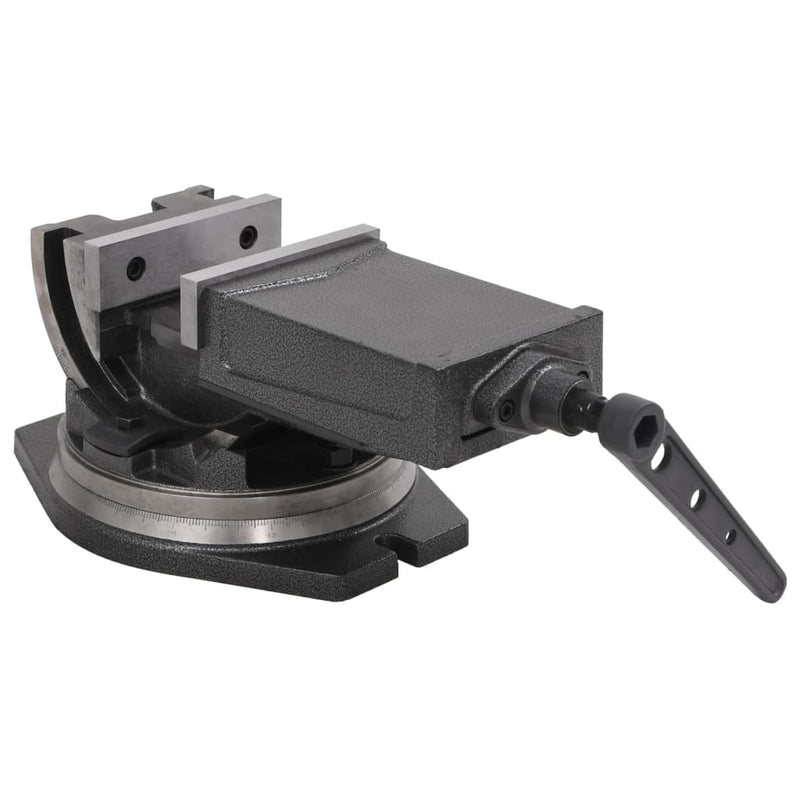 Load image into Gallery viewer, VidaXL Bankschroef met 2 assen kantelbaar 160 mm
