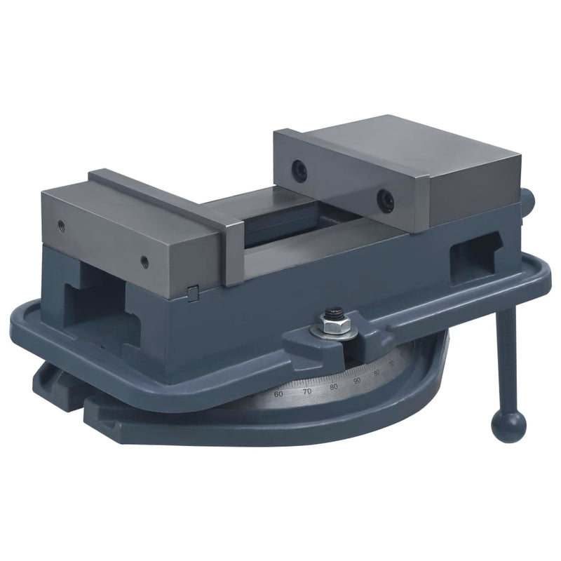 Load image into Gallery viewer, Vidaxl bankschroef draaibaar 160 mm gietijzer
