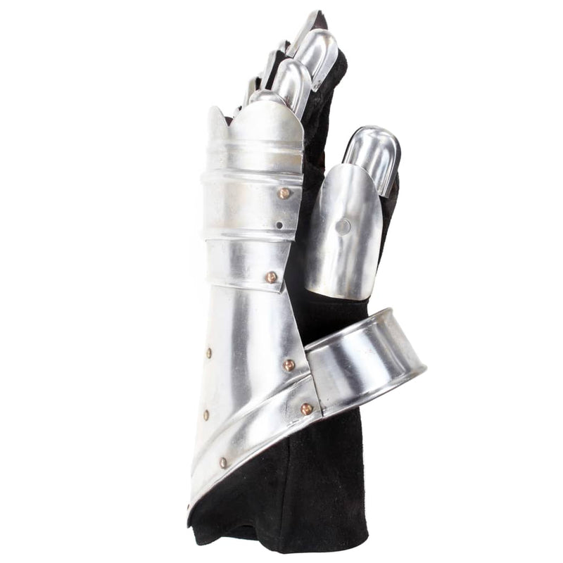 Load image into Gallery viewer, Vidaxl ridderhandschoenen middeleeuws replica larp staal zilverkleurig
